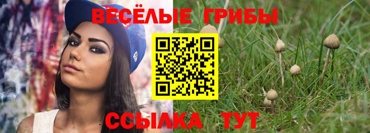 Галлюциногенные грибы Magic Shrooms Будённовск